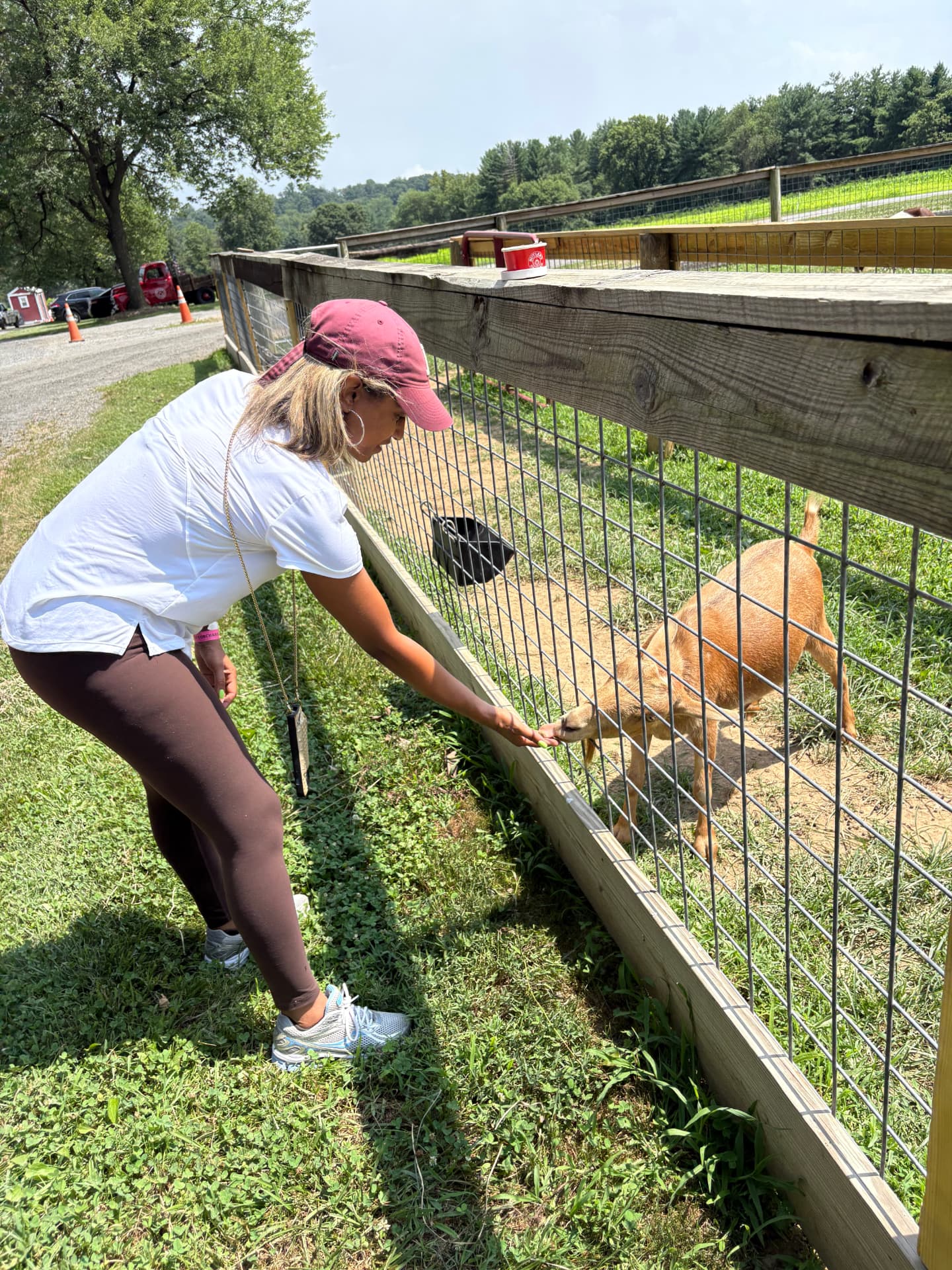 Joy feeding a goat at a farm — a wellness and joy moment
